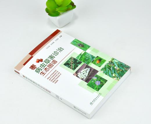 枣病虫草害诊治生态图谱 0221 冯玉增 张艳霞 王留超 枣病害虫害诊断与防治 果园主要杂草识别与防治 工具书 中国林业出版社畅销书 商品图1