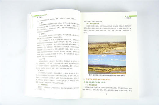 旱区造林绿化技术模式精选 9547 绿洲荒漠平原黄土高原山地沙漠盆地丘陵 极干旱造林区 中国林业出版社 畅销书籍 商品图4