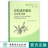 石松类和蕨类名词及名称/孢子植物名词与名称丛书   8255  科技 商品缩略图0