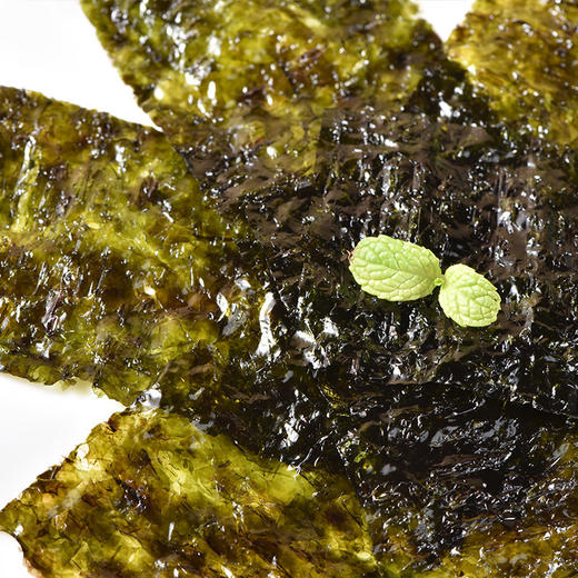 韩味多鱼脯海苔岩烧海苔4包装儿童休闲零食 商品图8