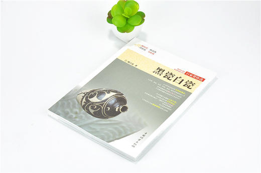 黑瓷白瓷 行家带你选 9887 姚江波 段时代 辨真伪 评价值 为收藏 中国林业出版社 正版畅销书 商品图2