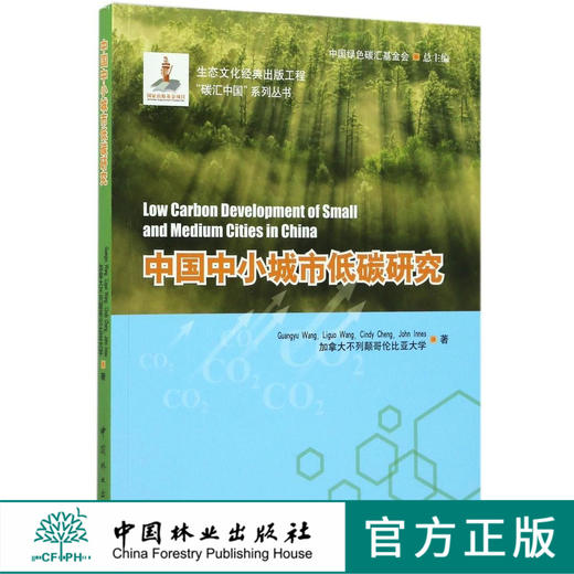 中国中小城市低碳研究/碳汇中国系列丛书  8961 商品图0