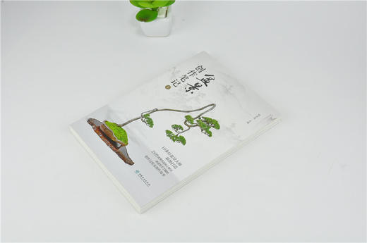 盆景创作笔记1 赵庆泉 0209 盆景大师联袂打造 28件优秀作品精心解读 盆景艺术作品欣赏 中国林业出版社 畅销书 商品图2