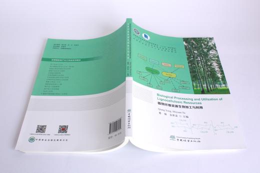 植物纤维资源生物加工与利用（英文版）0358 勇强 余世袁主编 0358 普通高等教育十三五规划教材 高等院校林产化工专*系列教材 商品图4