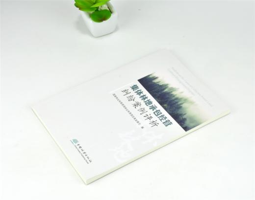 集体林地承包经营纠纷案例评析 0359 国家林业和草原局林业和草原改革发展司 编 中国林业出版社 商品图2
