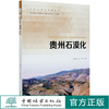 贵州石漠化 顾永顺 王华  0695 中国林业出版社 商品缩略图0