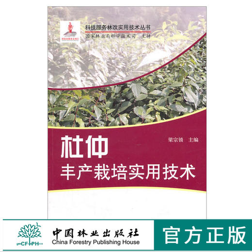 杜仲丰产栽培实用技术 6070 梁宗锁 科技服务林改实用技术丛书 杜仲繁殖 整形修剪 采收加工贮藏 病虫害防治 中国林业出版社畅销书 商品图0