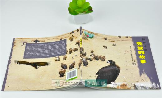 秃鹫的故事 绿野仙踪 0261 马鸣 著 鹫的起源 特点 行为 繁衍后代 迁徒 保护 少儿科普读物 中国林业出版社 畅销书 商品图4