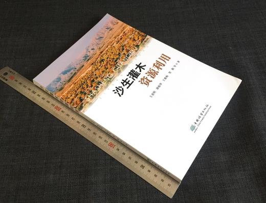 沙生灌木资源利用 0533 王喜明 沙生植物 灌木 资源利用 研究 林业科技 中国林业出版社 商品图1