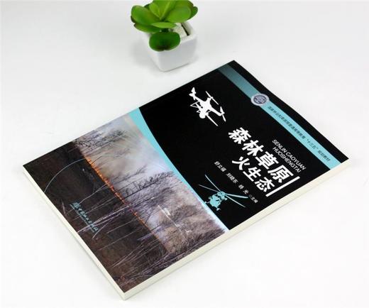 森林草原火生态 9989 舒立福 刘晓东 杨光 主编 国家林业和草原局普通高等教育十三五规划教材 中国林业出版社 商品图2