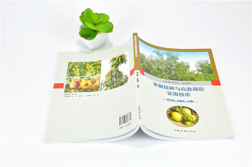 枣树良种与高效栽培实用技术 9878 张志善 高海平 农业科技 中国林业出版社 商品图4