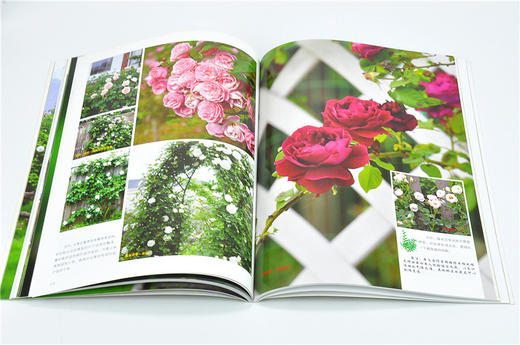 花也9147花园生活精选辑3庭园设计植物的识别养护香草园艺制作堆肥园艺工具介绍使用干花制作玩转园艺中国林业出版社官方自店 商品图3