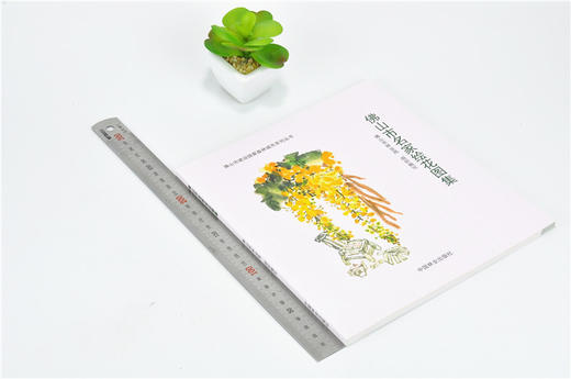 佛山市名家绘花图集 9670 佛山市建设国*森林城市系列丛书 中国林业出版社 正版畅销书 商品图1