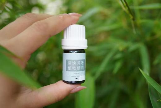 清逸呼吸植物精油香氛扣套装——口罩伴侣，从此再也不怵戴口罩啦 商品图6