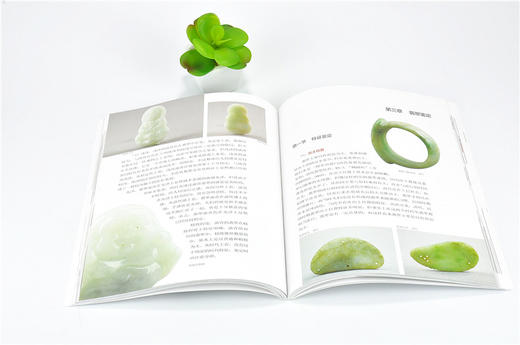 翡翠 行家带你选 9880 姚江波 收藏鉴赏 段时代 辨真伪 评价值 为收藏  中国林业出版社 正版畅销书 商品图3