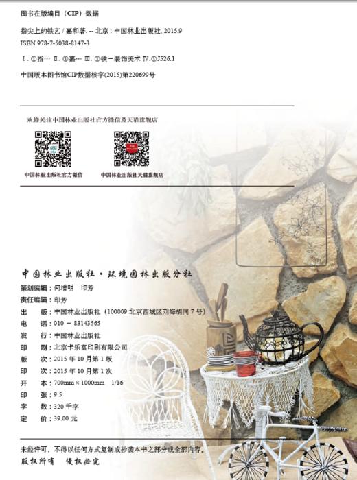指尖上的铁艺 嘉和/著 中国林业出版社正版8147 商品图2