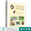 南方风景园林树木病虫害图鉴  何学友//蔡守平 1508 中国林业出版社 商品缩略图0