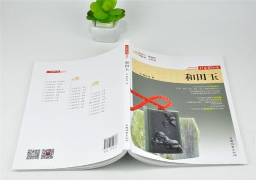 和田玉 行家带你选 9976 姚江波 著 断时代 辨真伪 评价值 为收藏 古物鉴赏书 中国林业出版社 商品图4