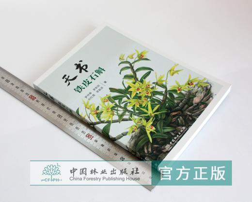 天书 铁皮石斛 罗仲春 9872 铁皮石斛原生态种植技术要点 识别要点 原生态栽培 中国林业出版社畅销书 商品图1