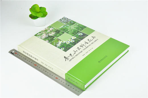 秦巴山区野生花卉 9973 刘青林 吴振海 曾小冬 著 中国林业出版社 商品图1