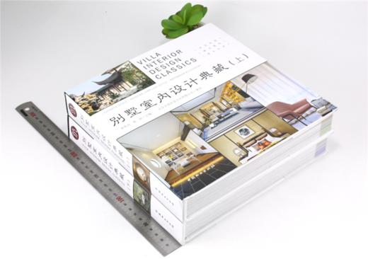别墅室内设计典藏 上下册 9909 中式风韵都市简约原木生活欧美格调异域风情自由混搭 室内装饰装修设计书案例赏析 中国林业出版社 商品图1