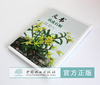 天书 铁皮石斛 罗仲春 9872 铁皮石斛原生态种植技术要点 识别要点 原生态栽培 中国林业出版社畅销书 商品缩略图2