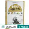 正版包邮金弹子树桩盆景 曹明君 9232 全面论述金弹子的实力著作理论创作栽培育桩根育技术 盆景书籍 中国林业出版社 商品缩略图0