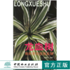 龙血树 我的养花经验采撷 3327 张鲁归 繁殖 造型 病虫害防治 龙血树养护月历 中国林业出版社 商品缩略图0