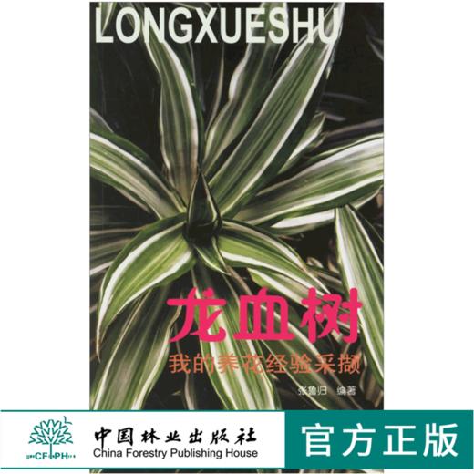 龙血树 我的养花经验采撷 3327 张鲁归 繁殖 造型 病虫害防治 龙血树养护月历 中国林业出版社 商品图0