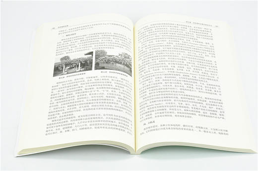 园林植物造景 第2版 第二版 7181 臧德奎 高等院校风景园林教材 林业科技 中国林业出版社 正版畅销书 商品图3