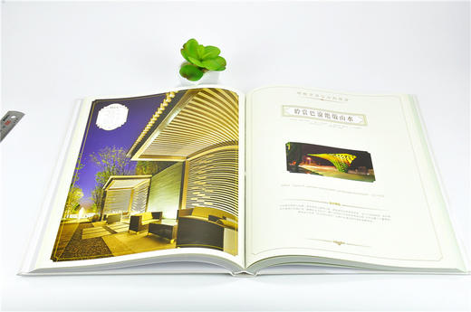 现代中式园林 8925   新中式风格住宅建筑与景观设计 现代中式园林 新中式 简约中式 风格 园林景观设计书籍 中国林业出版社 商品图3