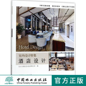 室内设计特集 酒店设计 9153 民宿 客栈 度假酒店 室内空间设计 实景图案例 北京大国匠造文化 中国林业出版社 畅销书籍