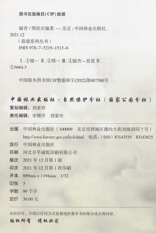 银杏/苗谱丛书 邢世岩 中国林业出版社 9787521915136 商品图2