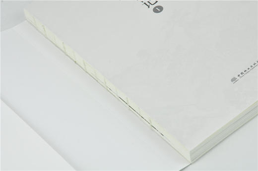 盆景创作笔记1 赵庆泉 0209 盆景大师联袂打造 28件优秀作品精心解读 盆景艺术作品欣赏 中国林业出版社 畅销书 商品图3