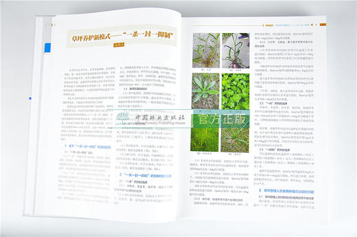 中国园林植物保护高端论坛报告荟萃2009-2018 赵美琦 张伟兴 主编 9716 中国林业出版社 畅销书籍 商品图4