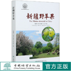 新疆野苹果(精) 阎国荣//于玮玮//杨美玲 中国林业出版社 0554 图书 商品缩略图0