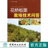 花桥板栗栽培技术问答 6428 无公害果品 繁育技术 整形修剪 花桥板栗常见虫害 病害 采收与贮藏 中国林业出版社 商品缩略图0
