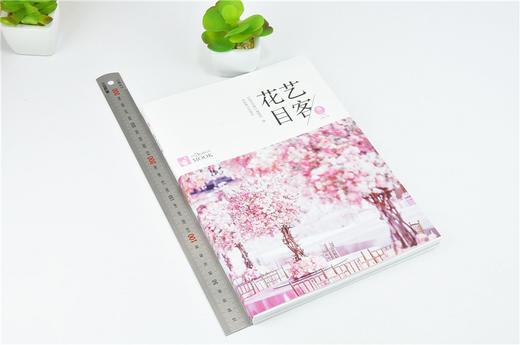 套装 花艺目客 春 夏 秋 冬 夏花成妍 5本一套 花道婚礼花艺 商业花礼装饰色彩搭配干燥桌花漂浮花艺装饰手捧花压花插花花艺设计书 商品图1