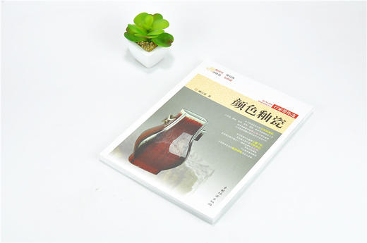 颜色釉瓷 行家带你选 9883 姚江波 断时代 辩真伪 评价值 为收藏 中国林业出版社 正版畅销书 商品图2