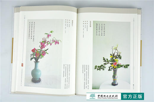 瓶赏 中国传统插花非物质文化遗产创作集萃1辑 9352 东方撒艺传统插花技艺盘花碗花缸花筒花瓶花蓝花中国林业出版社官方旗舰店正版 商品图4