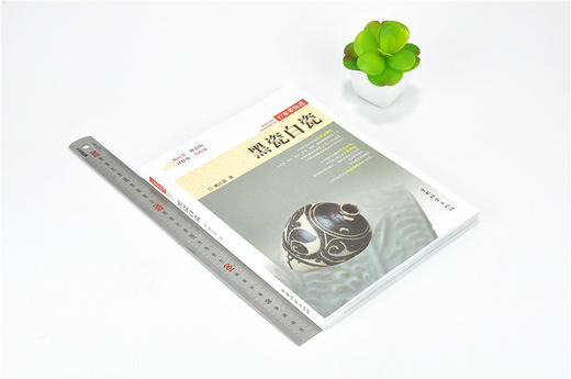 黑瓷白瓷 行家带你选 9887 姚江波 段时代 辨真伪 评价值 为收藏 中国林业出版社 正版畅销书 商品图1