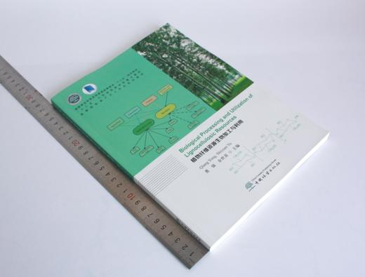 植物纤维资源生物加工与利用（英文版）0358 勇强 余世袁主编 0358 普通高等教育十三五规划教材 高等院校林产化工专*系列教材 商品图1