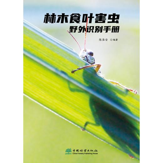 林木食叶害虫野外识别手册 陈淮安 1358 中国林业出版社 商品图4