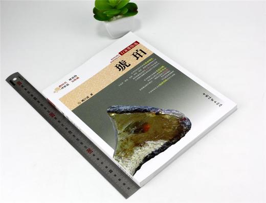 琥珀 行家带你选 9980 姚江波 段时代 辨真伪 评价值 为收藏 中国林业出版社 正版畅销书 商品图1