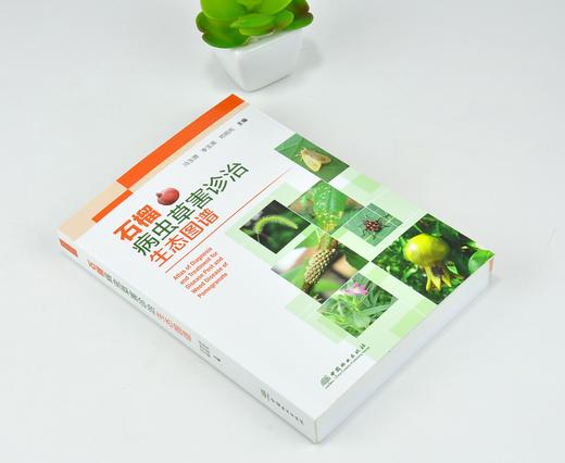 石榴病虫草害诊治生态图谱 0236 冯玉增 李玉英 邓旭先 石榴病害虫害诊断与防治 果园主要杂草识别与防治 工具书 中国林业出版社 商品图1
