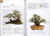 盆景养护手册 全彩版  马文其 5429 一本全面介绍盆景养护知识的工具书 中国林业出版社 畅销书 商品缩略图4