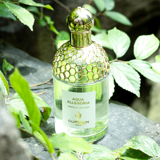 【花草水语系列】橙花岩兰  Nerolia Vetiver 分装 商品图1