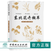 东北花卉撷萃 9699 常见花卉的繁殖栽培 家养花卉技艺 东北野生兰科植物简述 野生花卉 图谱书 草地草坪花境园林配置 野生植物保护 商品缩略图0