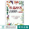 养花问答1000例 8599 私家花园管理阳台养花病虫害无公害栽培养护 家庭养花防治病虫害 养花知识经典工具书 中国林业出版社畅销书 商品缩略图0