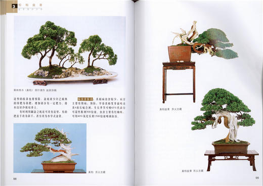 盆景养护手册 全彩版  马文其 5429 一本全面介绍盆景养护知识的工具书 中国林业出版社 畅销书 商品图1